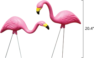 Pink Plastic Flamingos Black Background PNG image