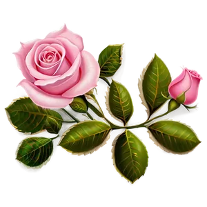 Pink Rose Arrangement PNG Eum31
