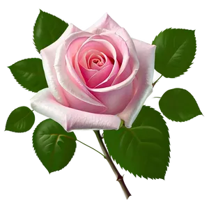 Pink Rose Art PNG 90
