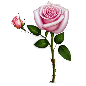 Pink Rose Art PNG Yyl93