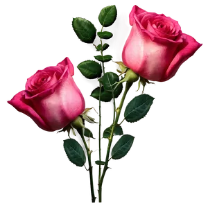 Pink Rose Border PNG 05242024