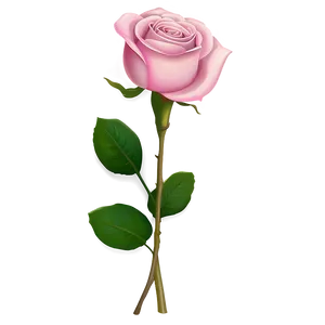 Pink Rose Bouquet PNG 05242024