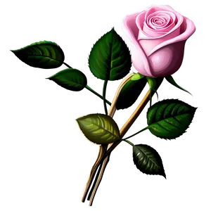 Pink Rose Bouquet PNG Voi