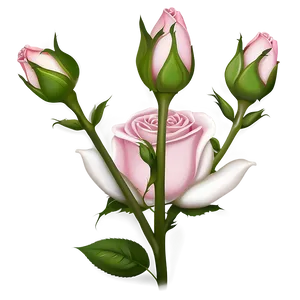 Pink Rose Bud PNG 05242024