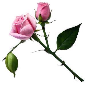 Pink Rose Bud PNG Qnd14