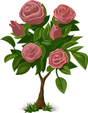 Pink Rose Bush Illustration