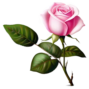 Pink Rose Clipart PNG 20