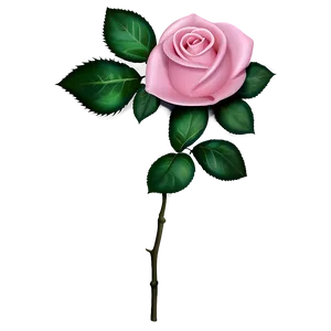 Pink Rose Decoration PNG 05242024 PNG