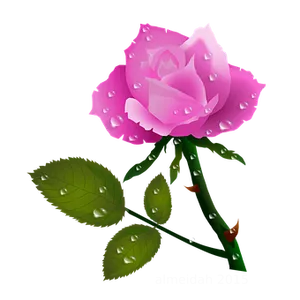 Pink Rose Dewdrops Vector PNG image