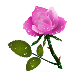 Pink Rose Dewdrops Vector PNG
