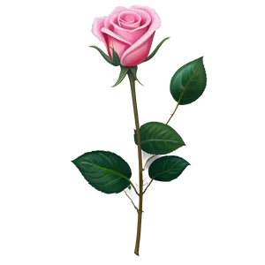 Pink Rose Emotion PNG 57 PNG