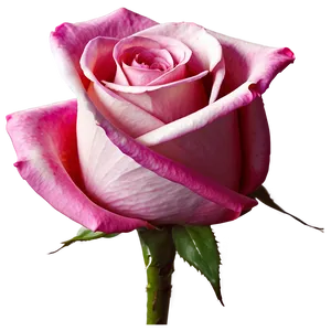 Pink Rose Fantasy PNG Rlg12