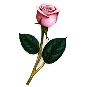 Pink Rose Gift PNG 97 PNG