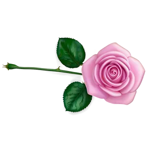 Pink Rose Gift PNG Rjv PNG