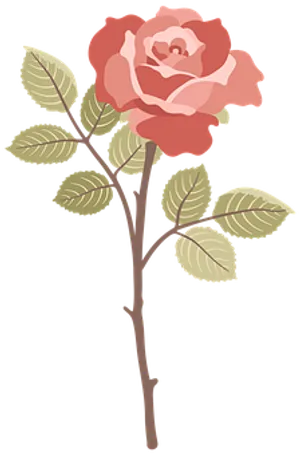 Pink Rose Illustration
