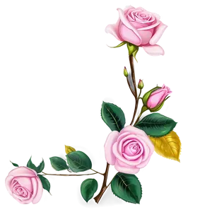 Pink Rose Illustration PNG 05242024