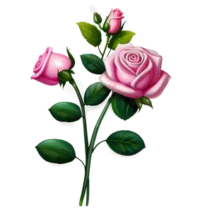 Pink Rose Illustration PNG 29