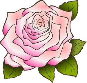 Pink Rose Illustration PNG image