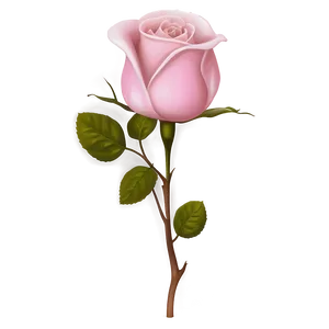 Pink Rose In Bloom PNG 49