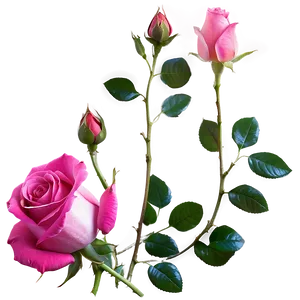 Pink Rose Magic PNG 05242024 PNG