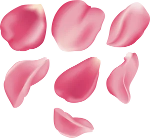 Pink Rose Petals Floating PNG image