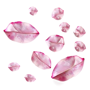 Pink Rose Petals PNG 23 PNG