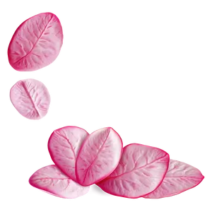Pink Rose Petals PNG 34