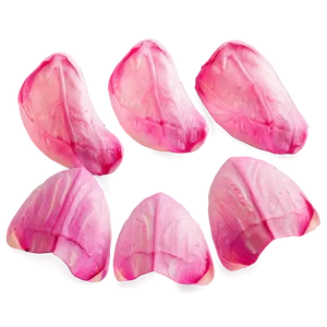Pink Rose Petals PNG Hqg