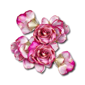 Pink Rose Petals PNG Kqg