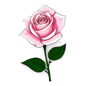 Pink Rose Sketch PNG 05242024