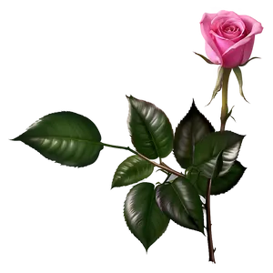 Pink Rose Symbol PNG Lxo PNG