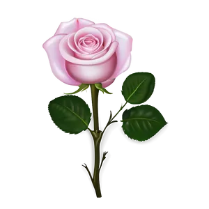Pink Rose Theme PNG 05242024