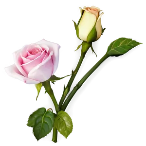 Pink Rose Theme PNG Fds48