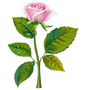 Pink Rose Vector Artwork PNG 73 PNG