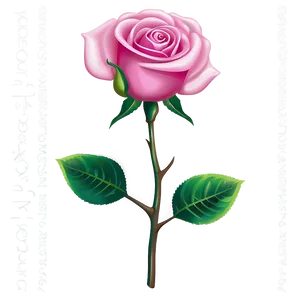 Pink Rose Vector Artwork PNG Vjv75 PNG