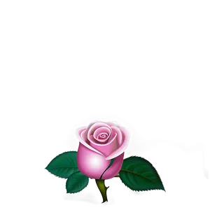 Pink Rose Wallpaper PNG 53