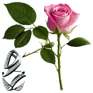 Pink Rose Wallpaper PNG 75