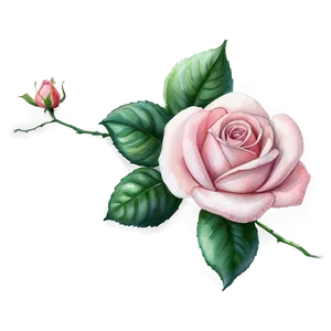 Pink Rose Watercolor PNG Vwl99