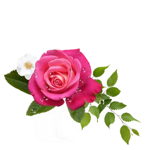 Pink Roseand White Flower Arrangement