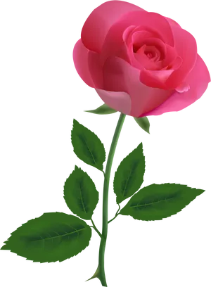 Pink Roseon Black Background