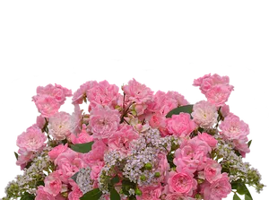 Pink Roses Bouquet Black Background PNG image