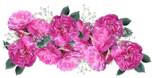 Pink Roses Bouquet Transparent Background