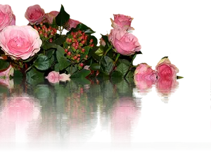 Pink Roses Reflection Water PNG image