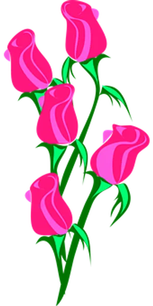 Pink Roses Vector Art