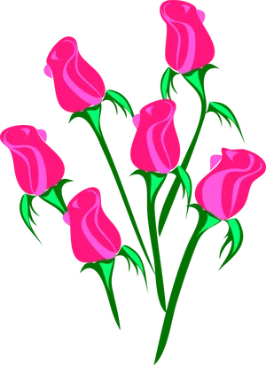 Pink Roses Vector Illustration