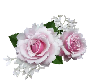 Pink Rosesand White Flowers