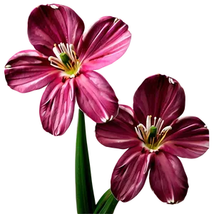 Pink Spring Flower PNG 05242024