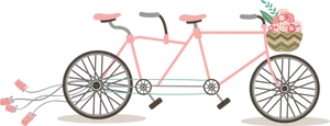 Pink Tandem Bicycle With Flowersand Streamer Decoration