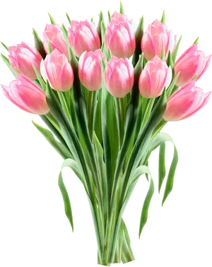Pink Tulip Bouquet Transparent Background PNG image