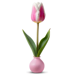 Pink Tulip Delight PNG 27